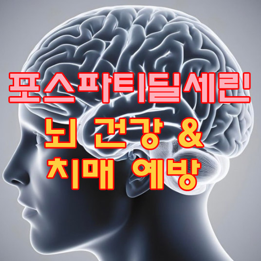 뇌건강 및 치매예방 식품