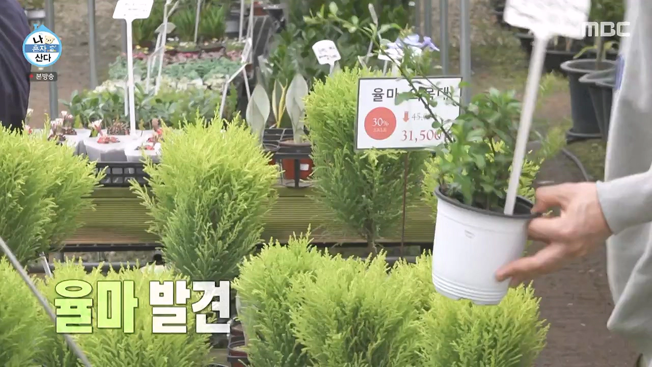 조인폴리아 근처 맛집