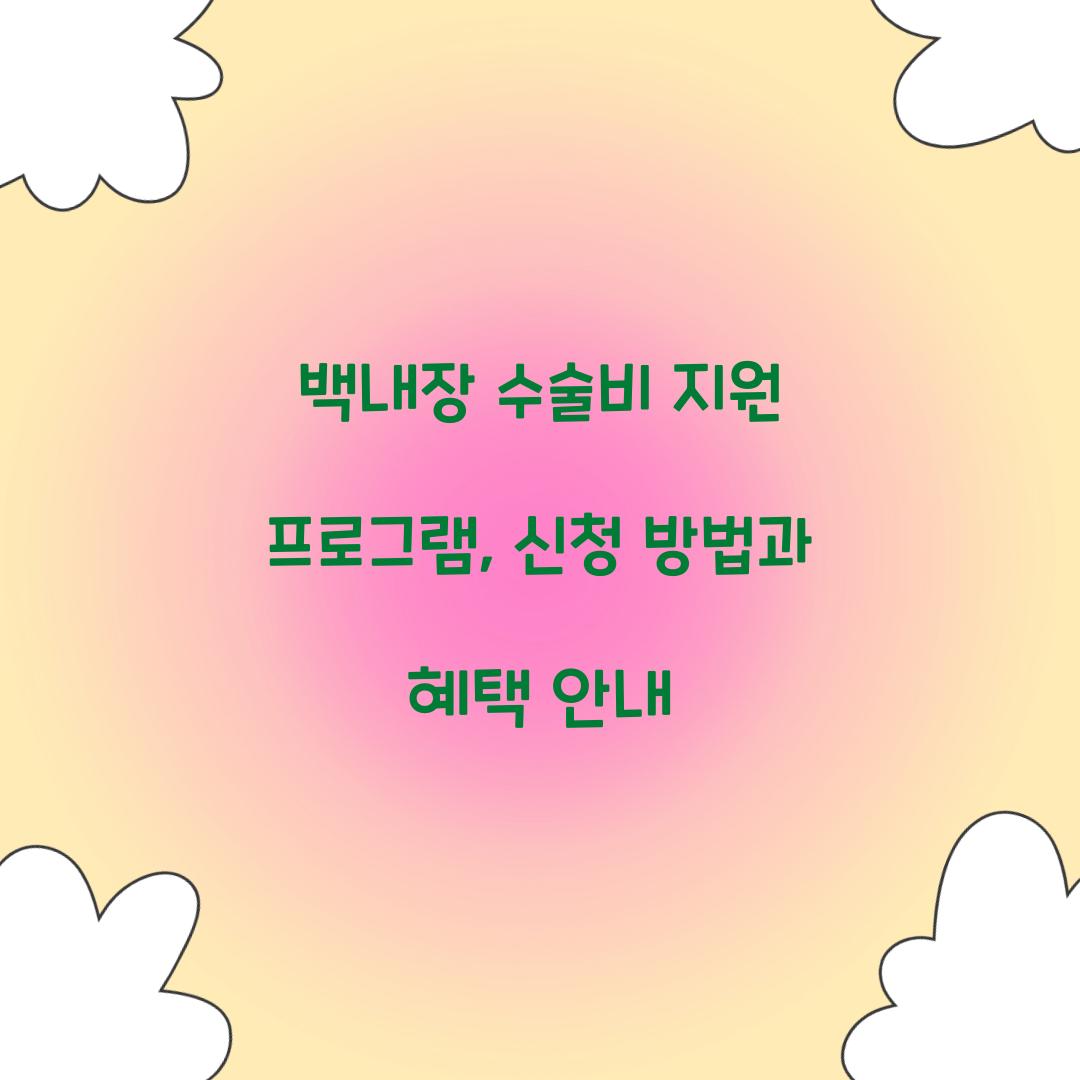 백내장 수술비 지원 프로그램