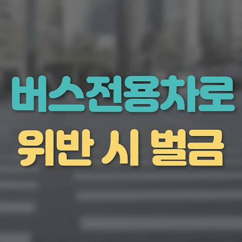버스전용차로-위반-기준-시간-벌금-알아보기