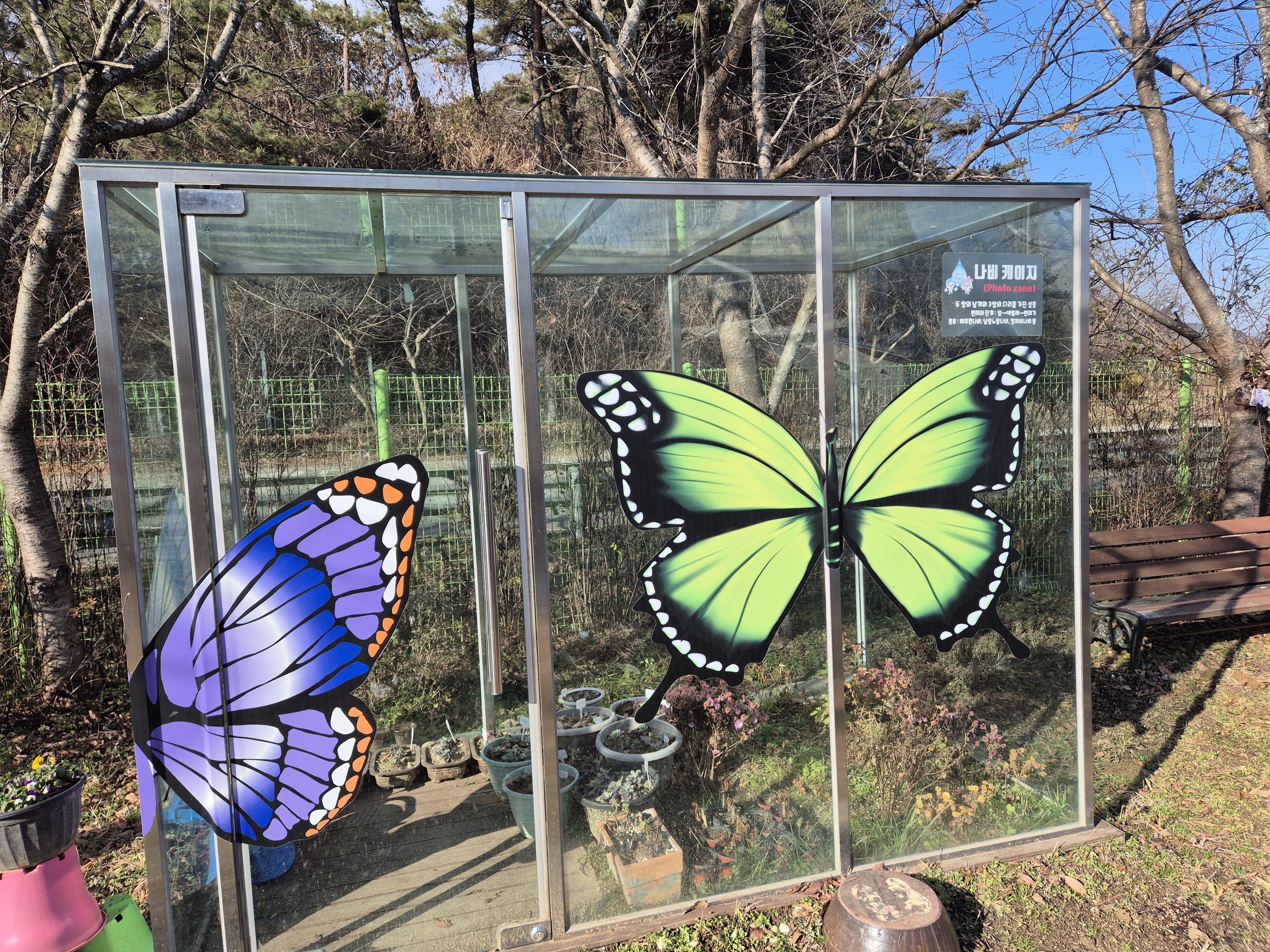 물사랑배움터 나비 케이지