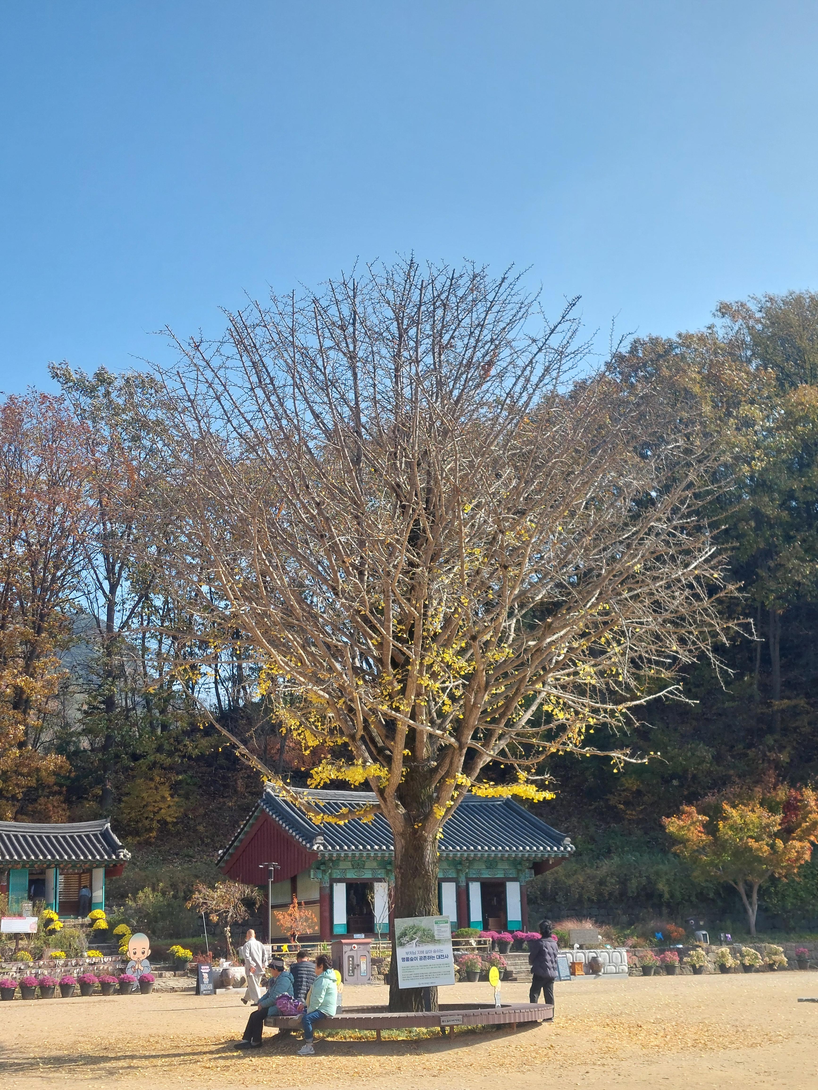주왕산