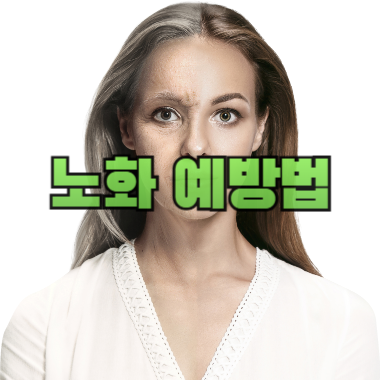노화 예방법
