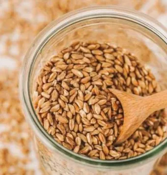 파로 곡물 효능 부작용 먹는 방법_17