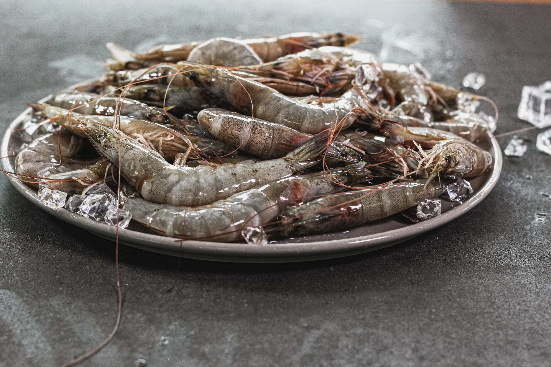 새우 효능 및 부작용