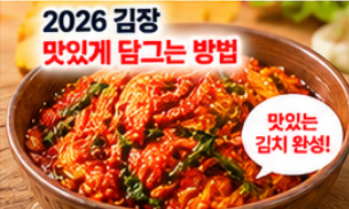 2026 절임배추 사전예약 20kg 가격 비교와 예약 시기&amp;#44; 김장 준비 방법 총정리 