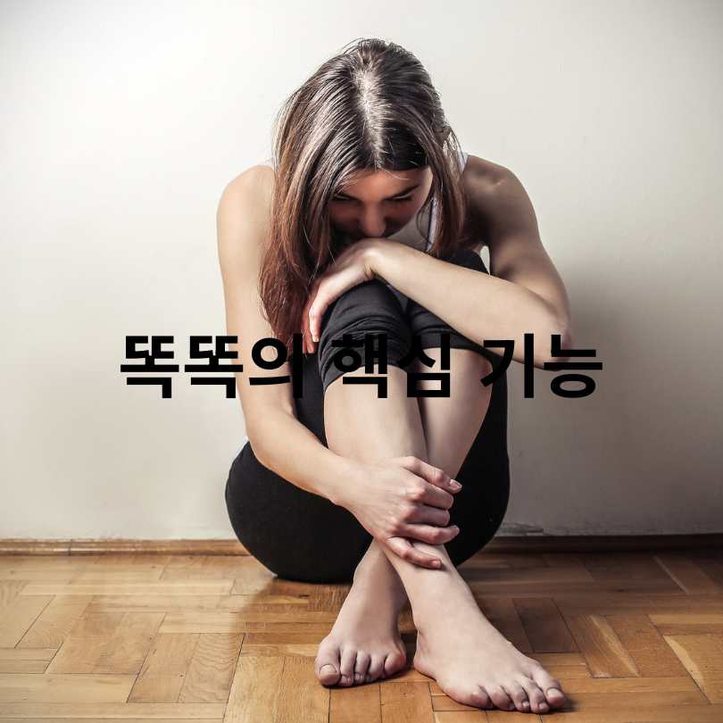 서울시민 위한 '365 서울챌린지'와 '똑똑' 플랫폼 활용법