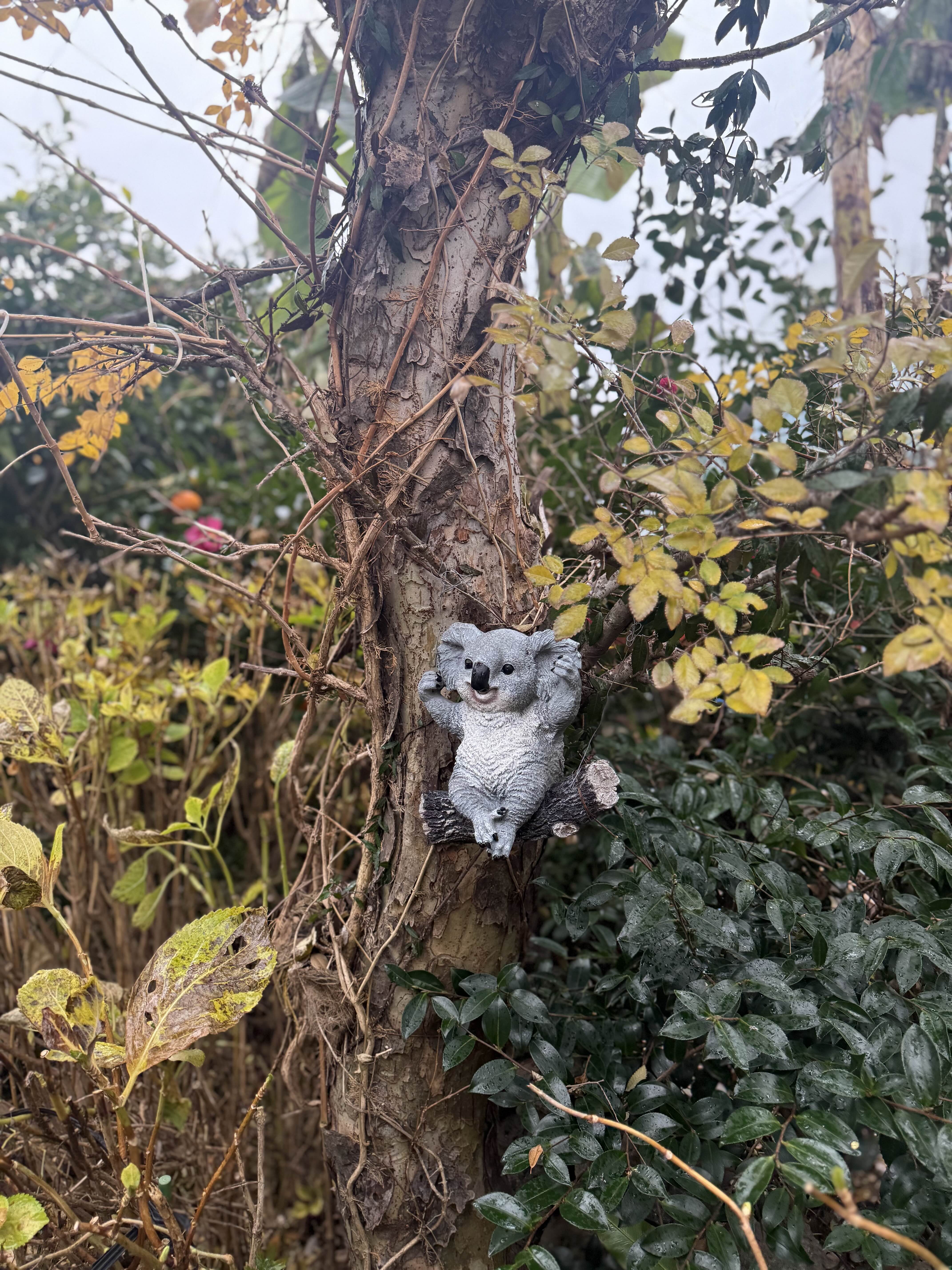 제주 귤꽃다락 카페 정원