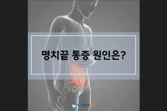 명치끝이 아픈이유 종류별 낫는법까지 완벽 해결_20