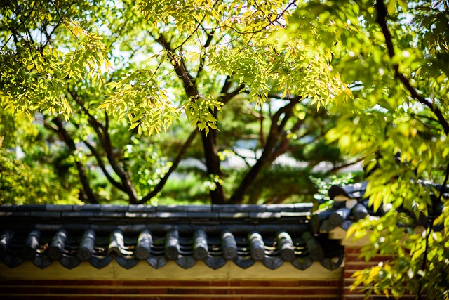 보경사