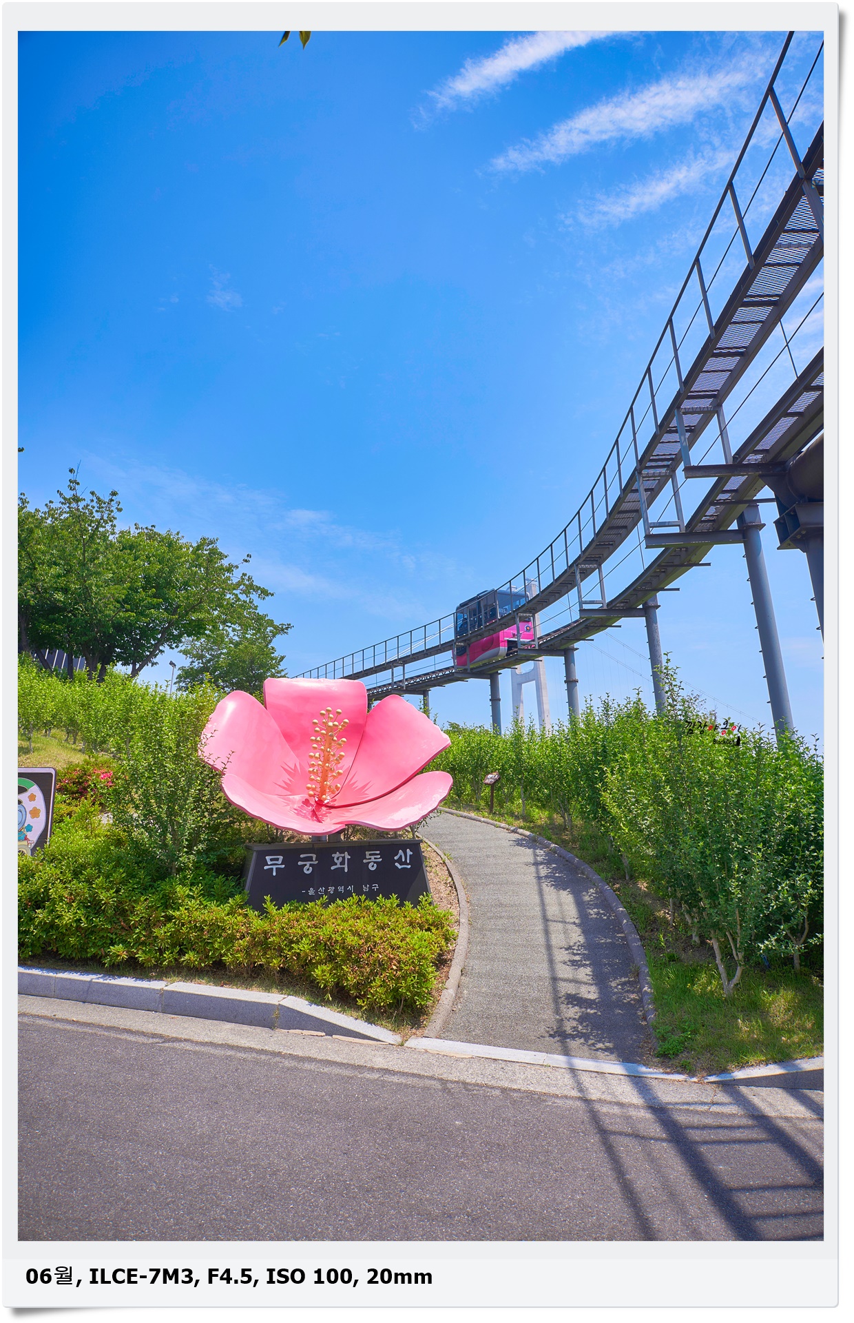 장생포 수국축제 무궁화정원