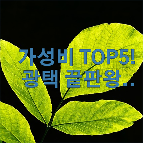 셀프 유리막 코팅제 추천 TOP 5 ..