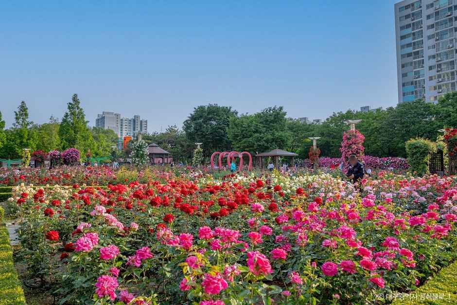 대구 이곡장미공원