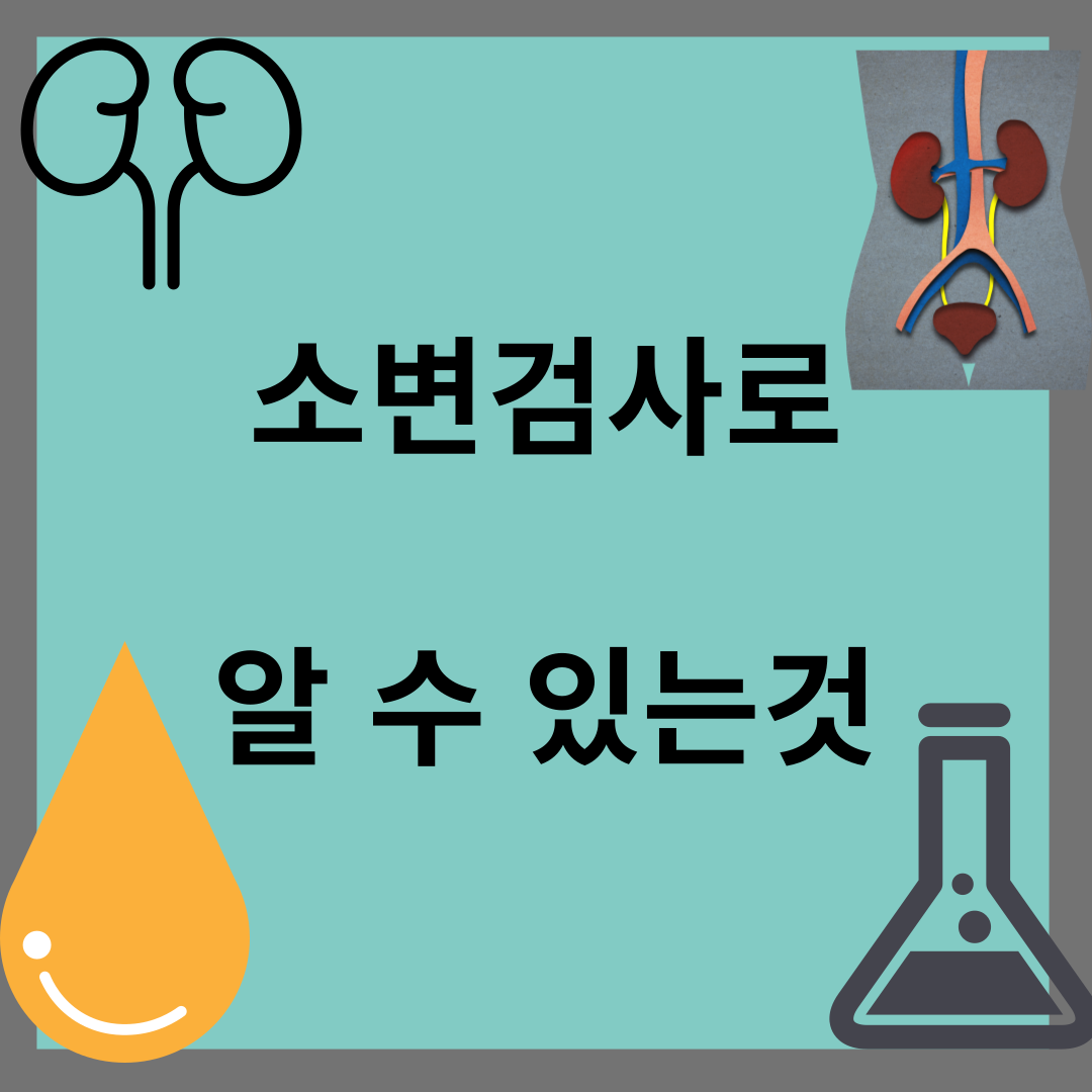 소변검사로 알수있는것