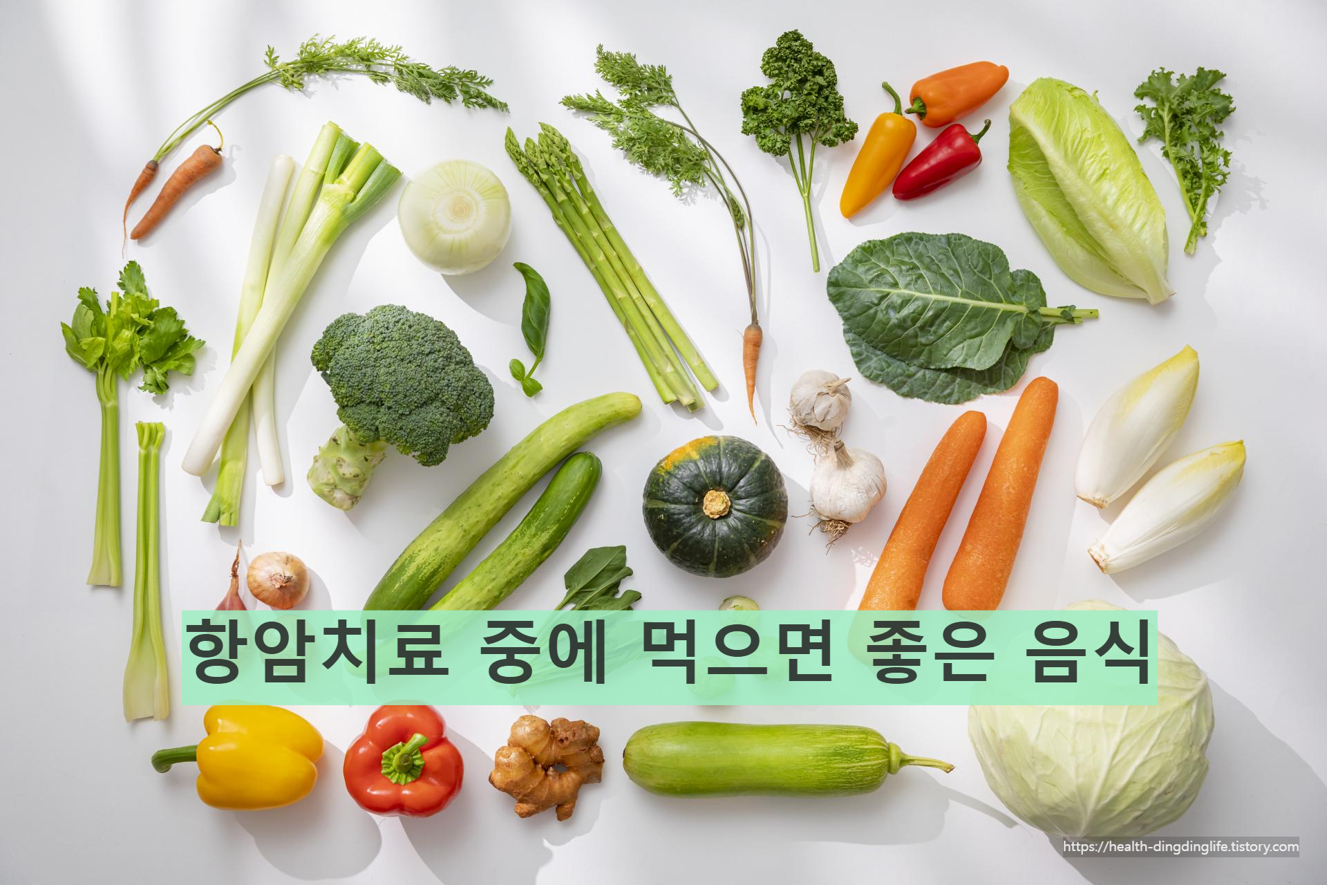 채소 이미지/ 출처 - 오래오랩