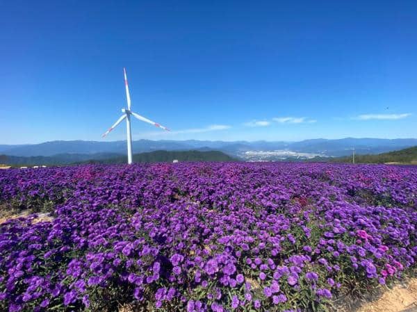 감악산-풍력단지-전경