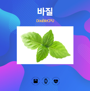 바질