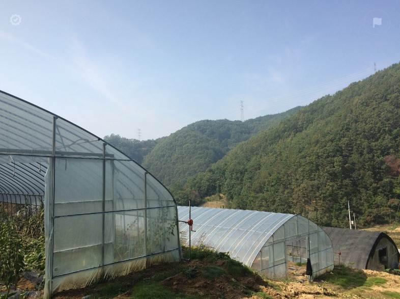 해남미소절임배추 사전예약 꿀팁! 10kg&middot;20kg 가격 비교