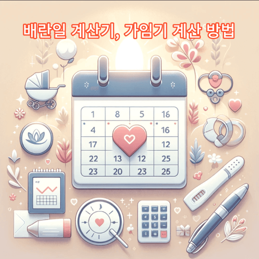 배란일 계산기