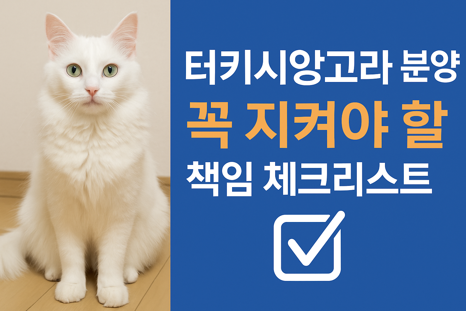 터키시앙고라 분양