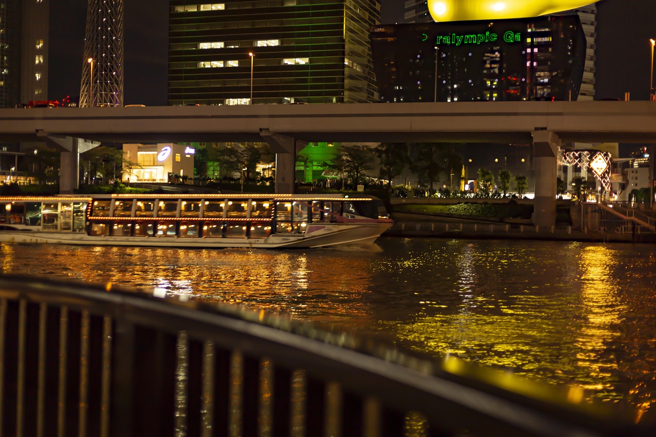 밤 야경에 타는 유람선