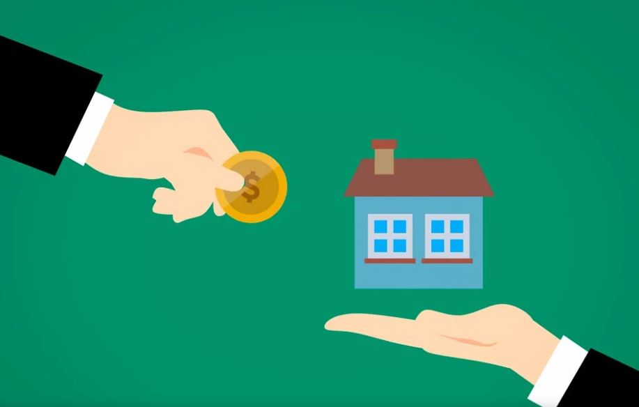 청년주거안정월세대출 신청 시기 일정