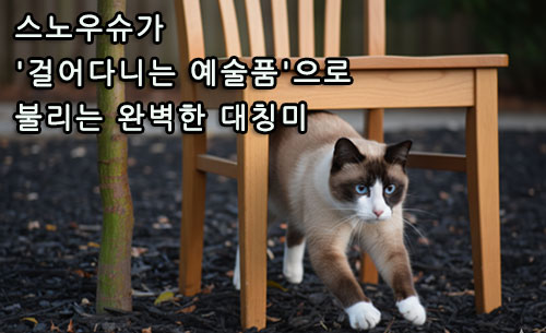 스노우슈가 '걸어다니는 예술품'으로 불리는 완벽한 대칭미