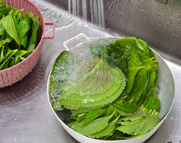 깻잎