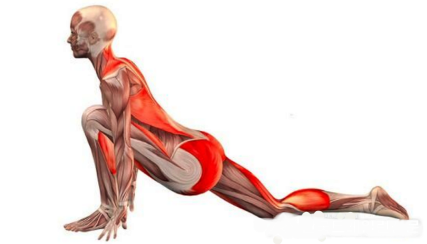 장요근 스트레칭_이미지출처: 한국트레일런신문