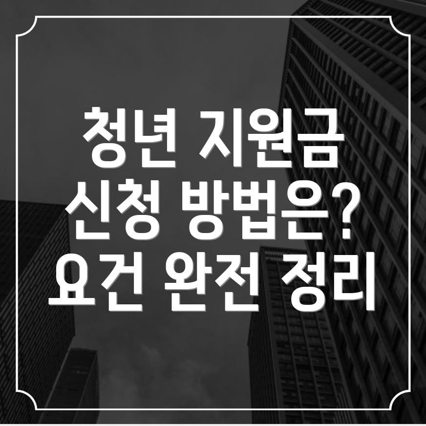 청년지원금