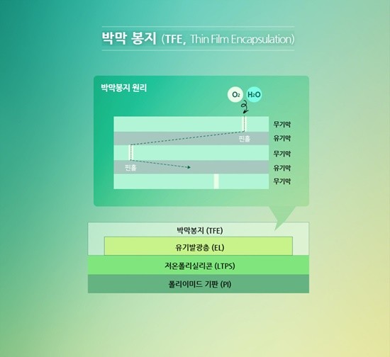 박막봉지_TFE