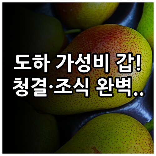 도하 가성비 호텔 베스트 5 청결도와..