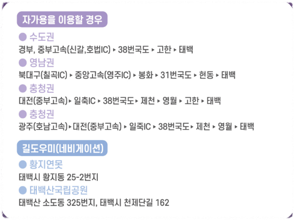 태백산 눈꽃축제