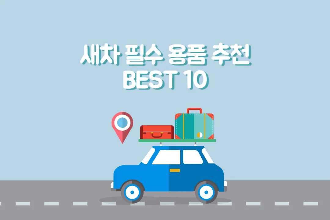 새차 필수 차량 용품 BEST 10