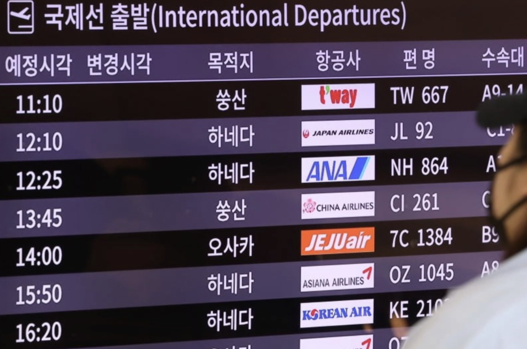 항공권 가격 폭락의 실제 현황과 데이터