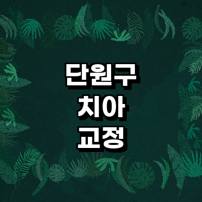 안산 단원구 교정 치과