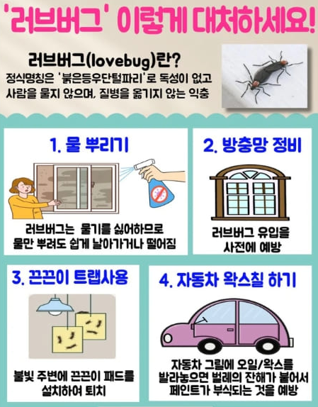 러브버그 퇴치법,러브버그 출몰 시기,러브버그 수명,러브버그 알,러브버그 익충,러브버그 방제