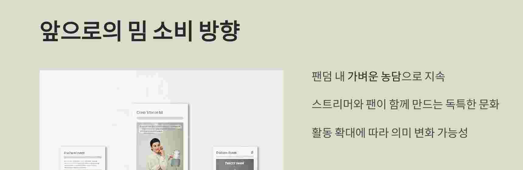 밈소비영향