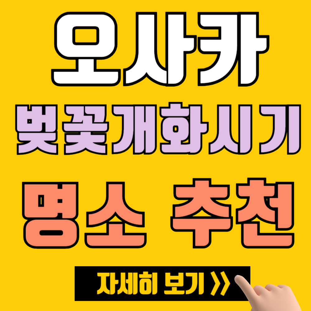 2025년 오사카 벚꽃 개화 시기 및 명소 추천 TOP 5