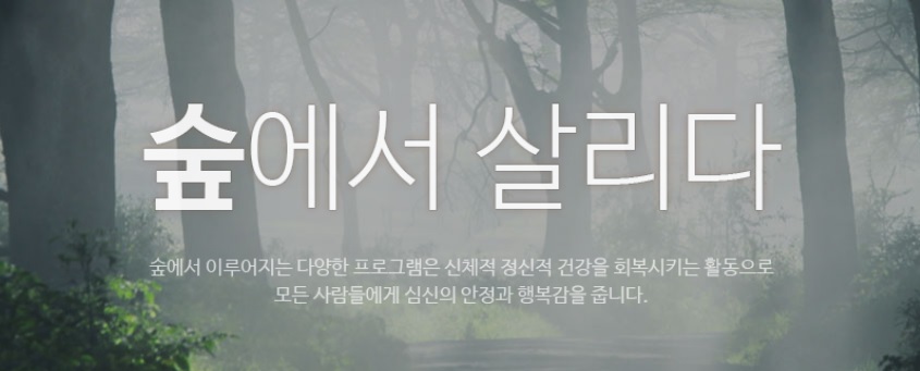 서울대 안양수목원(관악수목원) 체험 프로그램