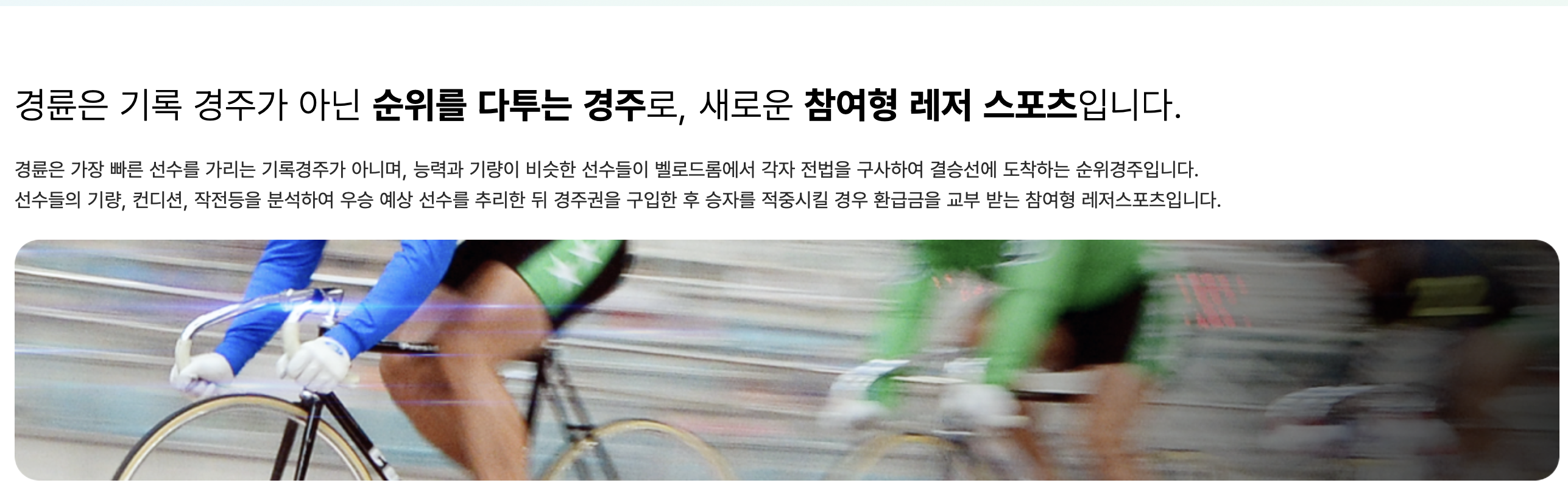 홈페이지 정보