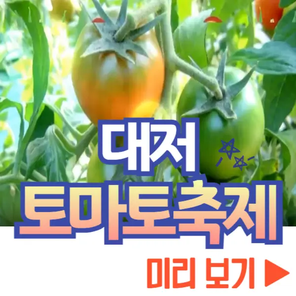 대저토마토축제 짭짤이 토마토