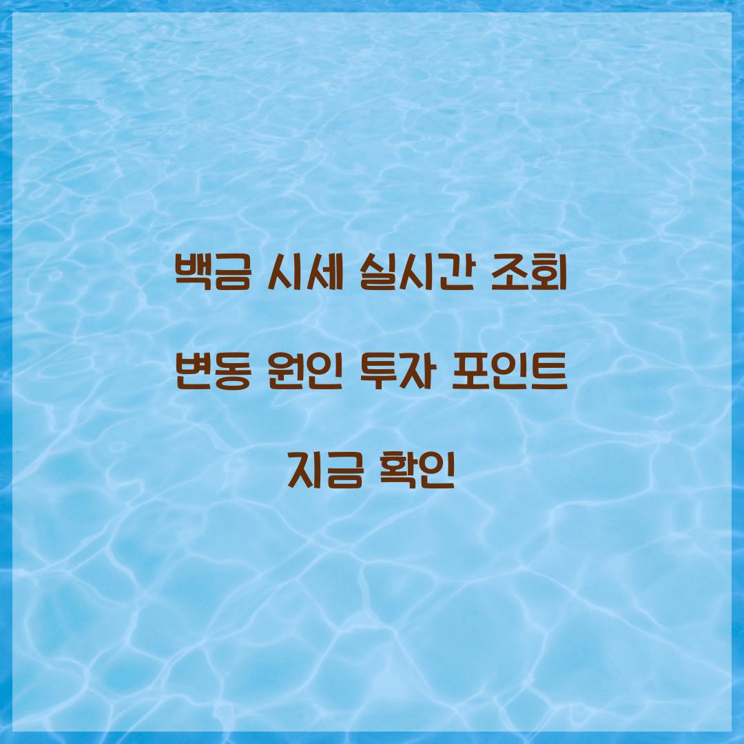 백금 시세 실시간 조회