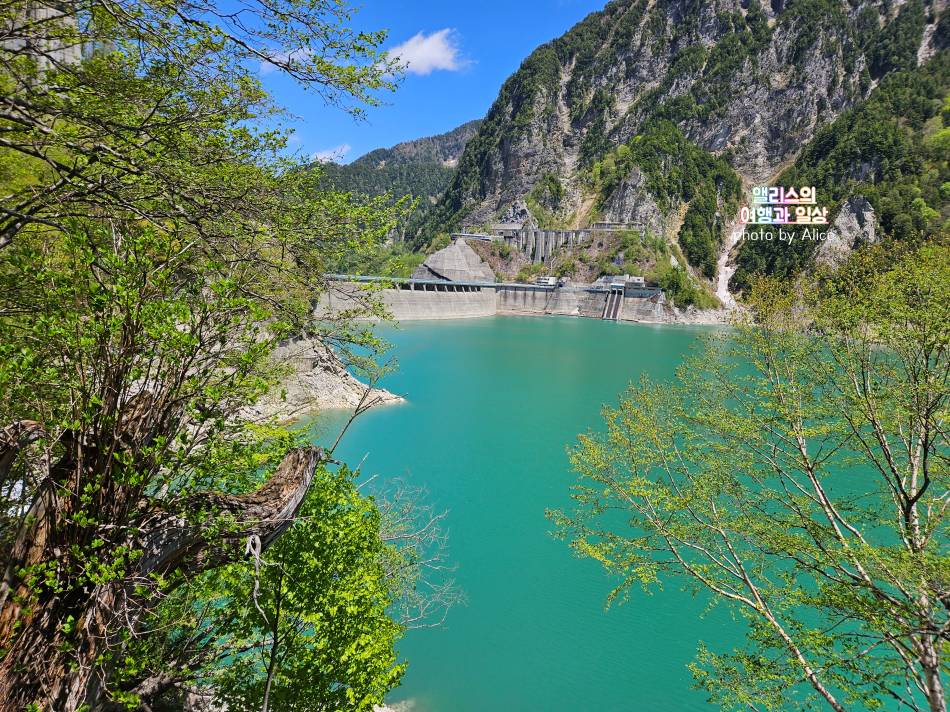 도야마 직행, 알펜루트 자유여행 준비방법, 후기 - 진짜 좋은데 넘나 추움!