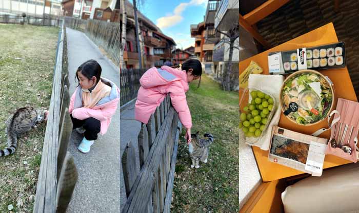 체르마트의 골목에서 고양이와 아미의 즐거운 한때, coop마트에서 구매한 우리의 저녁식사