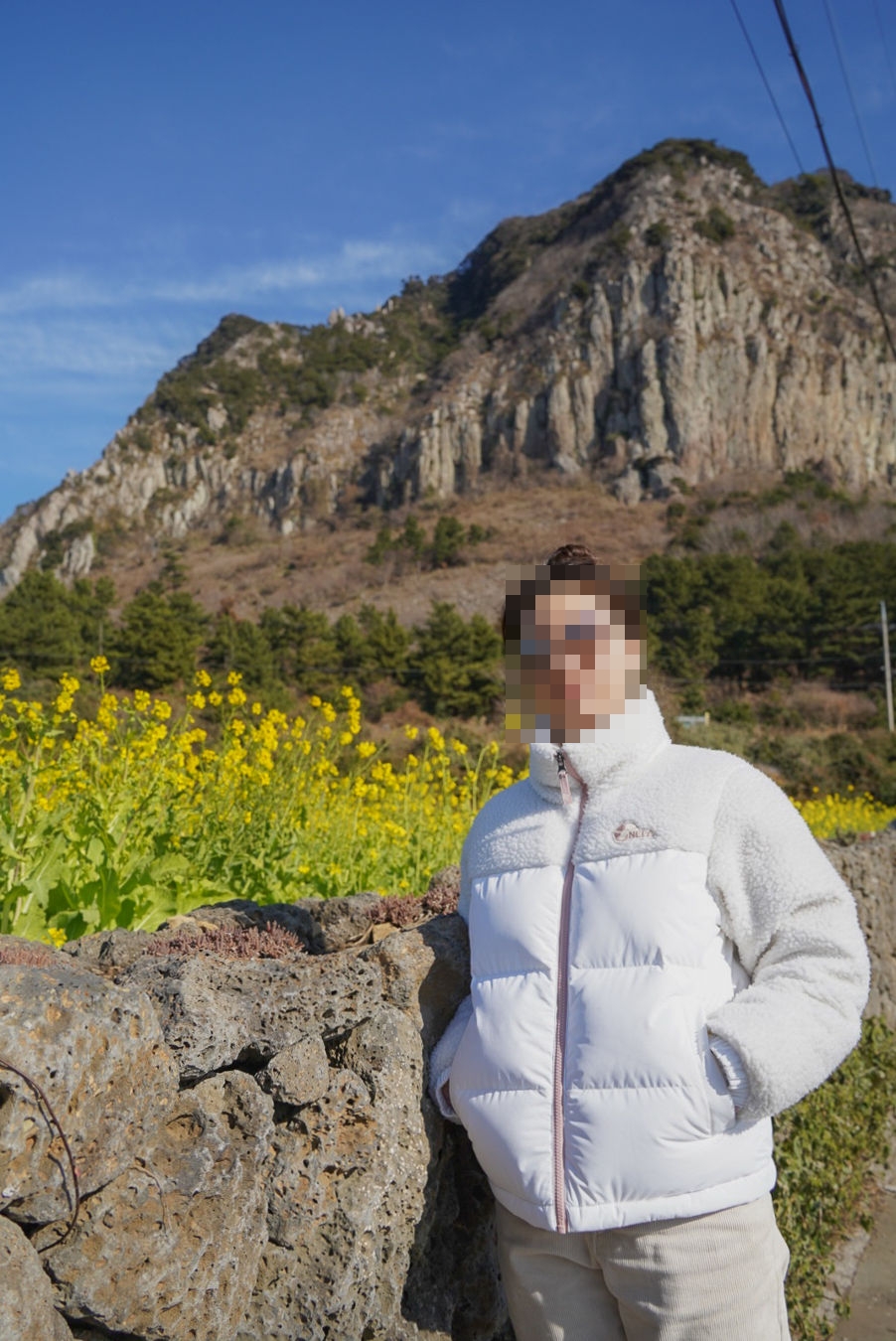 산방산 유채꽃 포토존