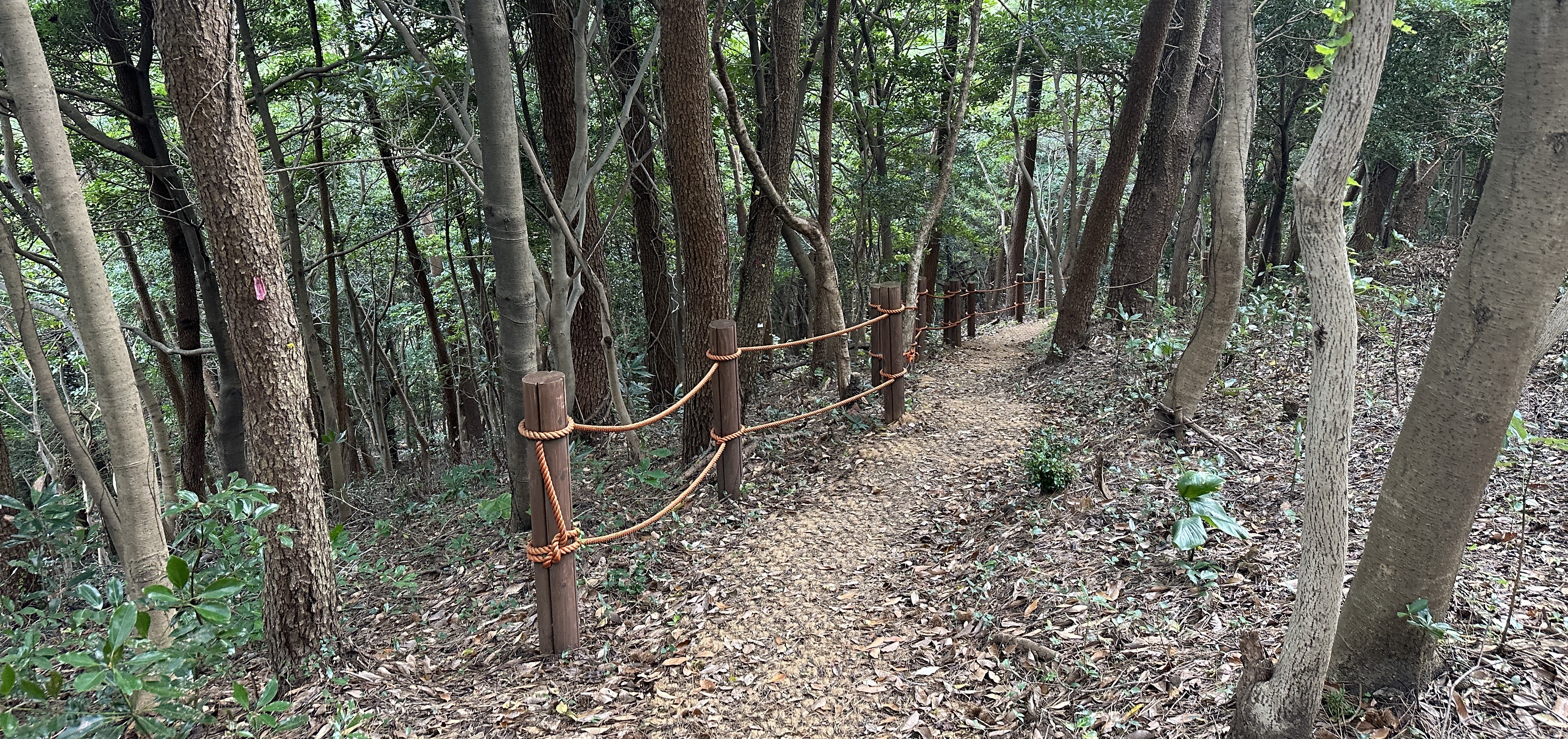 당오름 산책로