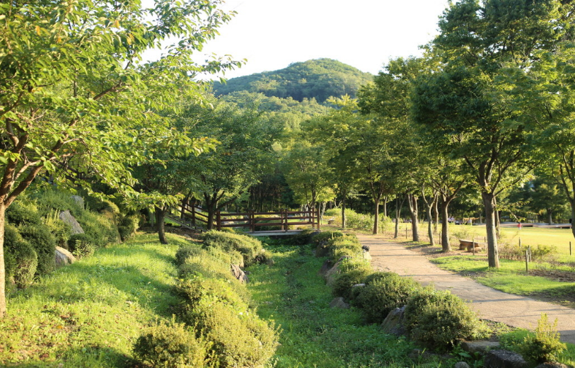 경기도 용인 자연휴양림 캠핑장 
