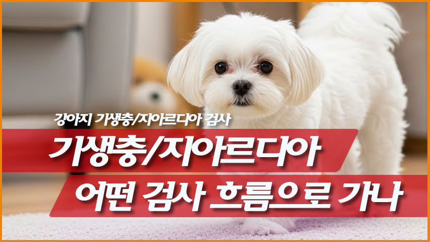 기생충/지아르디아: 언제 의심하고 어떤 검사 흐름으로 가나