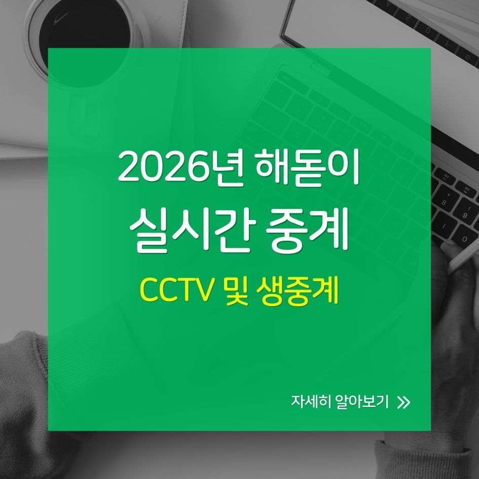 실시간으로 감상하는 2026 새해 해돋이 CCTV 및 생중계